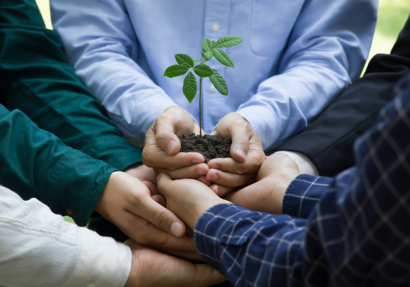 Implementando a Responsabilidade Socioambiental: Estratégias e Benefícios para Empresas e Projetos Sustentáveis